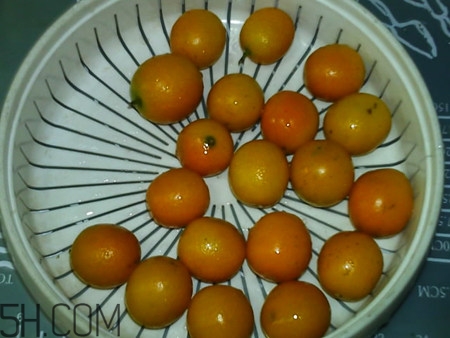 鹽漬金桔多久可以吃？鹽漬金桔放久了能吃嗎？