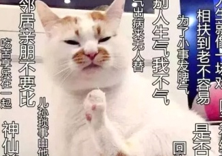 佛系妝是什么妝？佛系妝容輕松打造