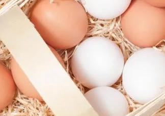 雞蛋要不要放冷藏？雞蛋的科學放置方法