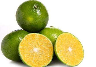 貢柑上火嗎？敗毒化痰不上火