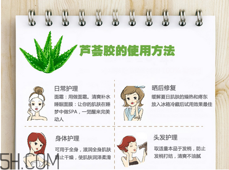 蘆薈膠的功效和作用有哪些？教你蘆薈膠的正確使用方法