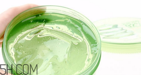 蘆薈膠補水嗎？蘆薈膠身體乳的替代品