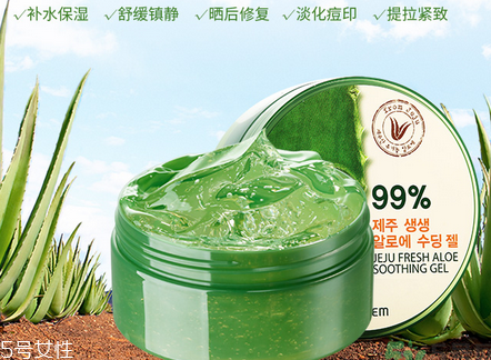 得鮮蘆薈膠含酒精嗎？蘆薈膠當(dāng)睡眠面膜的作用