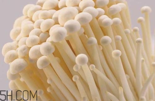 金針菇的食用禁忌有哪些？金針菇四大禁忌