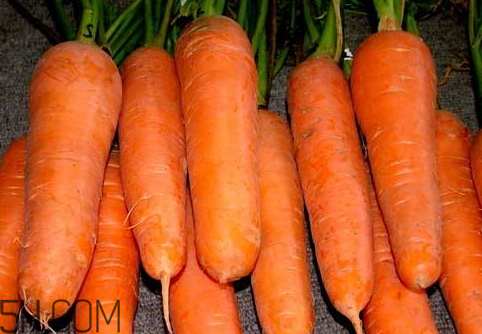 胡蘿卜皮變黑還能吃嗎 建議不要食用 胡蘿卜皮變黑還能吃嗎 建議不要食用