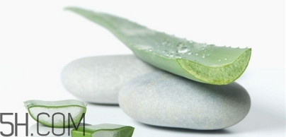 懷孕可以用蘆薈膠嗎？天天使用蘆薈膠的方法