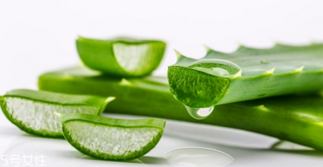 臉上過(guò)敏能用蘆薈膠嗎？蘆薈膠還可以去紅血絲