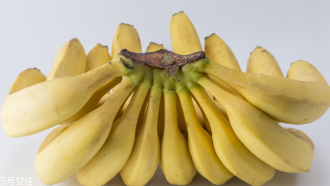 猴子為什么愛吃香蕉？熱量高營養(yǎng)多令人高興