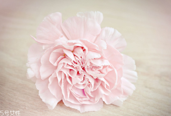 月經(jīng)量少能懷上寶寶嗎？能否排卵是關(guān)鍵