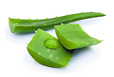 蘆薈面膜多久做一次最好？蘆薈敷臉不能過夜