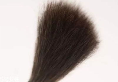 高光刷哪個(gè)牌子好？好用到哭的高光刷