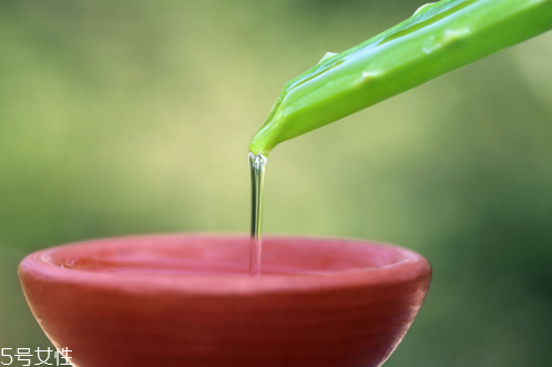 蘆薈面膜多久做一次最好？蘆薈敷臉不能過夜