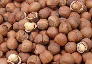 大榛子和小榛子的區(qū)別 二者沒(méi)有太大區(qū)別