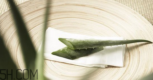 蘆薈膠吃了會(huì)怎樣？蘆薈膠的吃法