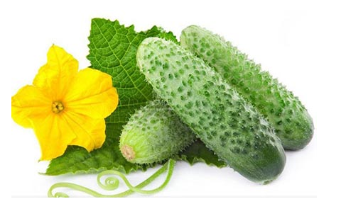 絲瓜和黃瓜的區(qū)別是什么？吃絲瓜的注意事項(xiàng)