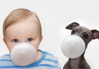 口香糖吃進(jìn)肚子里怎么辦？會隨排泄物一起排出體外