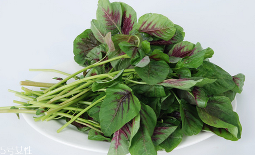 吃莧菜可以減肥嗎？減肥食物熱量排行榜