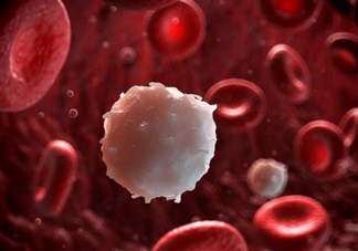 血里的垃圾有哪些？油脂過多成為垃圾油