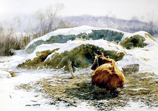 三九天怎么養(yǎng)生進(jìn)補？三九天養(yǎng)生四原則