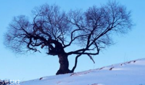 三九天最適合減肥的運(yùn)動(dòng)有哪些？推薦三種減肥運(yùn)動(dòng)