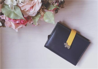 radley是什么檔次？千萬(wàn)別小看這只狗