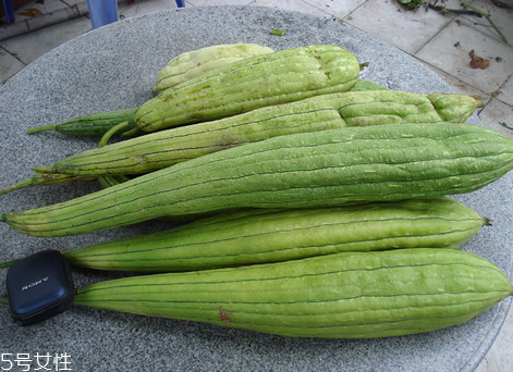 絲瓜老了還能吃嗎？軟的絲瓜口感會比較鮮甜