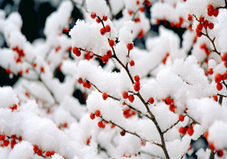 2018三九天是什么意思？三九天小常識