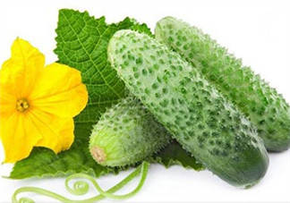 絲瓜和黃瓜的區(qū)別是什么？吃絲瓜的注意事項