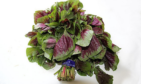 吃莧菜可以減肥嗎？減肥食物熱量排行榜