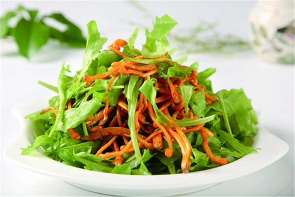 苦菊小孩能吃嗎？小孩吃苦菊促進(jìn)腦部發(fā)育