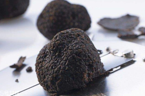 黑松露可以種植嗎 種植難度較大 黑松露可以種植嗎 種植難度較大