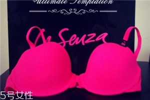 la senza是什么牌子？來自加拿大的頂尖內(nèi)衣