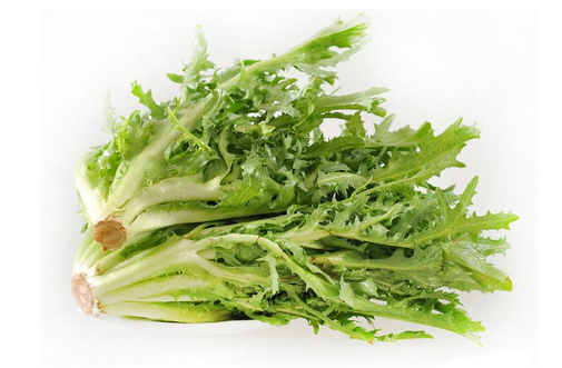 苦菊小孩能吃嗎？小孩吃苦菊促進腦部發(fā)育