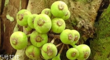 牛奶果皮能吃嗎？