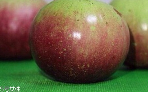 牛奶果和無花果是一種東西嗎 牛奶果和無花果是一種東西嗎