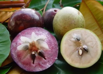 牛奶果多少錢一斤？青色和紫色是一樣的嗎