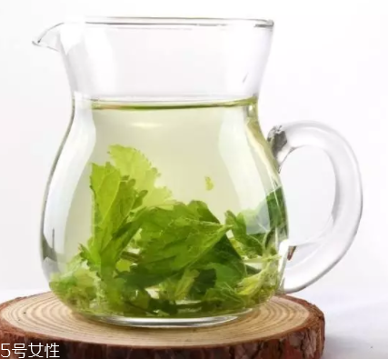 桑葉茶哪些人不能喝？過多飲用傷脾胃傷腎