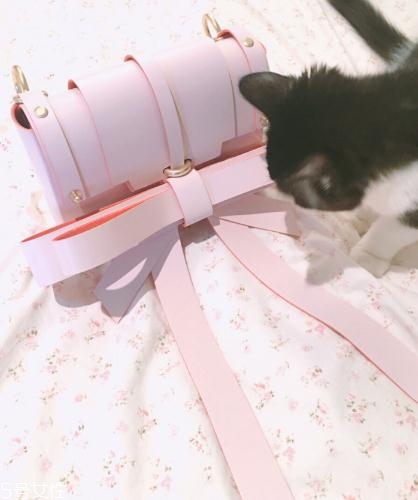 niels peeraer是什么牌子？圓了你的少女夢(mèng)