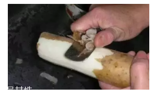 懷孕后能吃山藥嗎？山藥能促進(jìn)胎兒發(fā)育