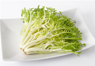 苦菊有哪些功效和作用？苦菊是屬于菊花的一種