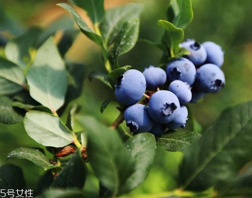 買的畸形水果能吃嗎？最好以貌取人