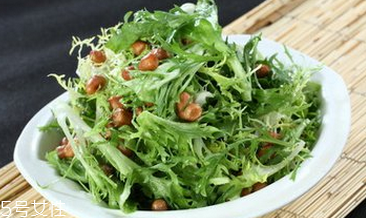 苦菊有哪些功效和作用？苦菊是屬于菊花的一種