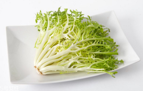 苦菊能減肥嗎？苦菊的各式做法