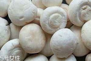 口菇不能和什么一起吃 美味口菇也有禁忌 口菇不能和什么一起吃 美味口菇也有禁忌