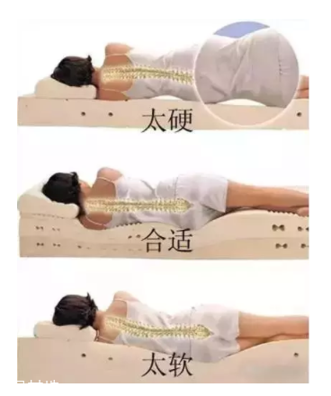 床越軟越好嗎？軟床導致駝背