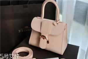 delvaux是哪個(gè)國(guó)家的？皇家專寵奢侈品牌