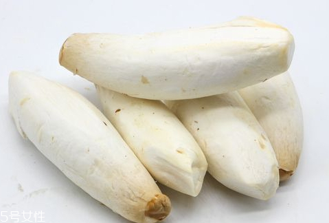 2018年雞腿菇多少錢一斤 十元左右 2018年雞腿菇多少錢一斤 十元左右