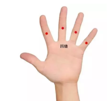 神曲有什么作用？最溫柔的助消化食品