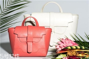 senreve包包多少錢？堪比lv的包包潛力股