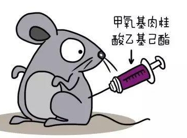 自然堂隔離霜孕婦可以用嗎？含有孕婦禁用成分